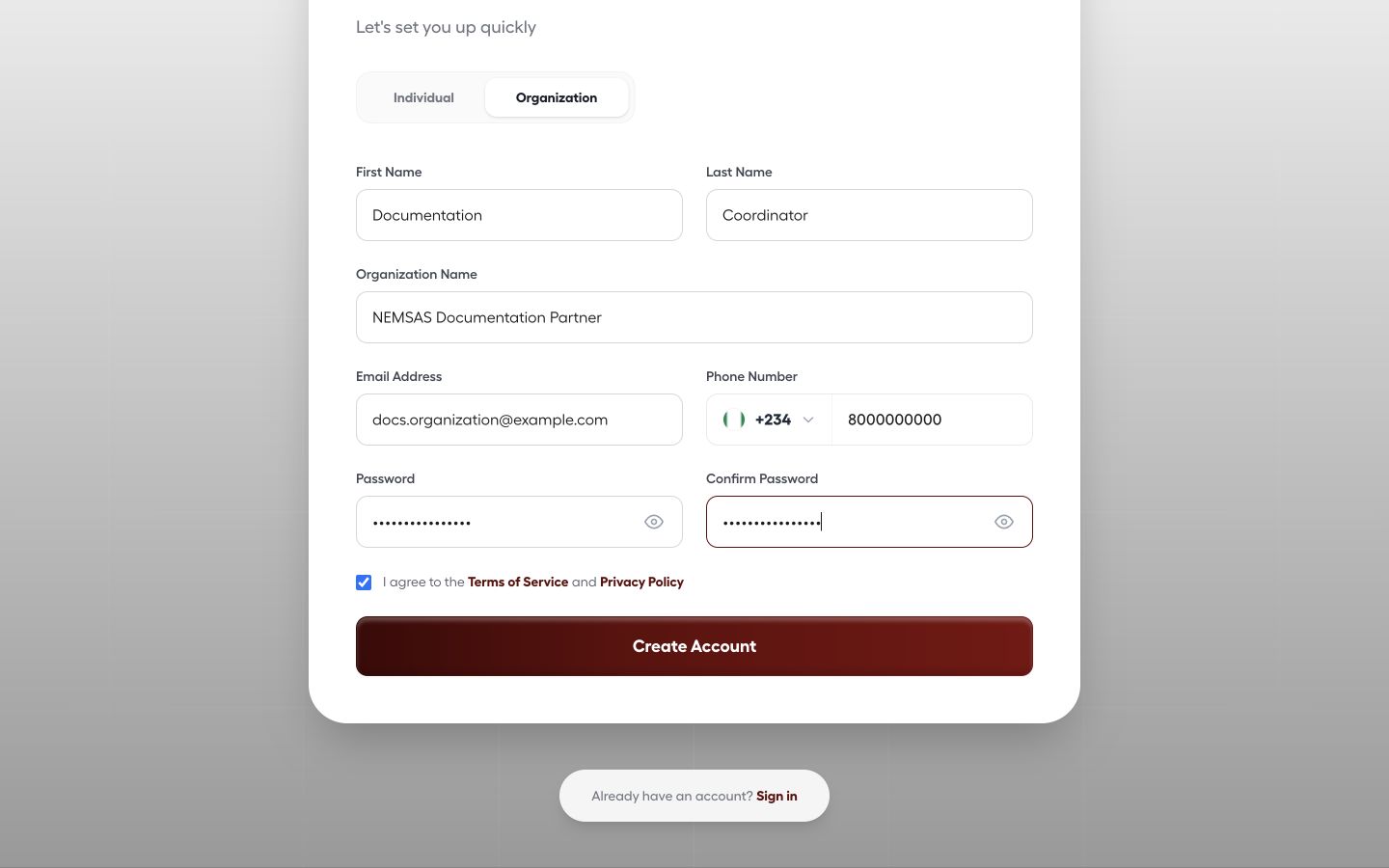 Organization Connect registration form populated with non-sensitive demonstration organization and representative details